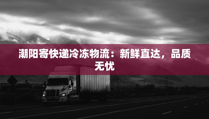 潮阳寄快递冷冻物流：新鲜直达，品质无忧