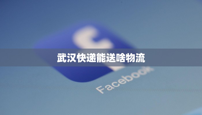 武汉快递能送啥物流
