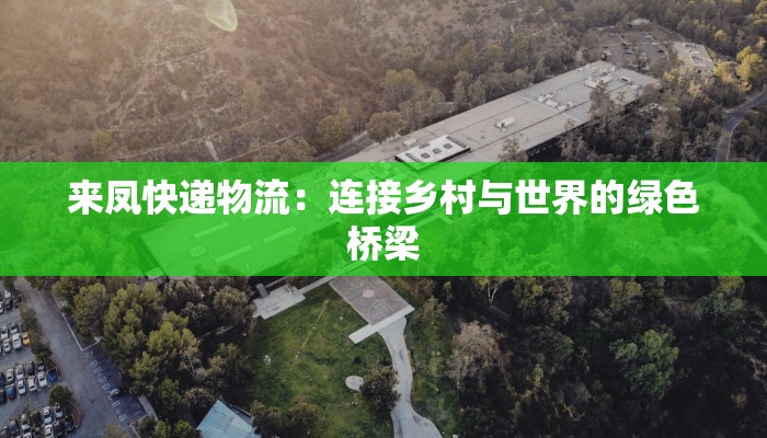 来凤快递物流：连接乡村与世界的绿色桥梁