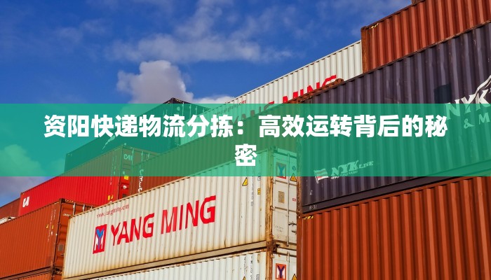 资阳快递物流分拣：高效运转背后的秘密