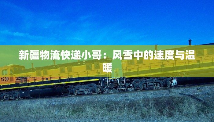 新疆物流快递小哥：风雪中的速度与温暖