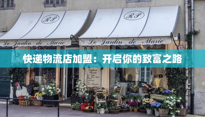 快递物流店加盟：开启你的致富之路