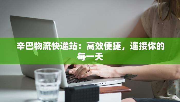 辛巴物流快递站：高效便捷，连接你的每一天