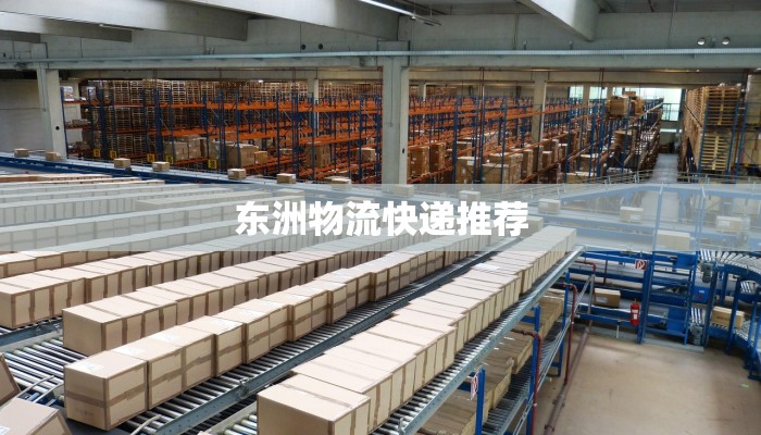 东洲物流快递推荐