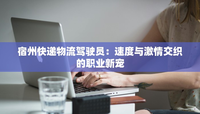 宿州快递物流驾驶员：速度与激情交织的职业新宠