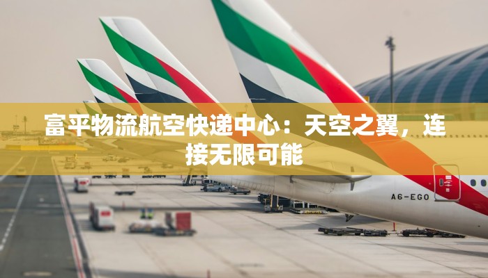 富平物流航空快递中心：天空之翼，连接无限可能