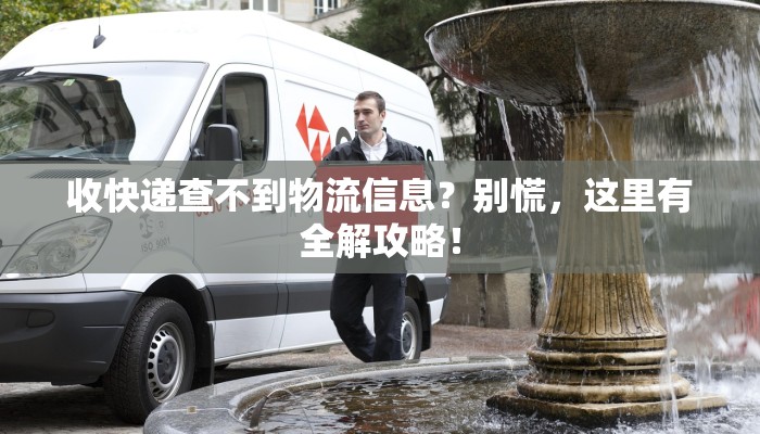 收快递查不到物流信息?别慌,这里有全解攻略!