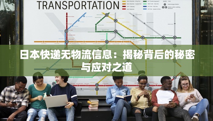 日本快递无物流信息:揭秘背后的秘密与应对之道