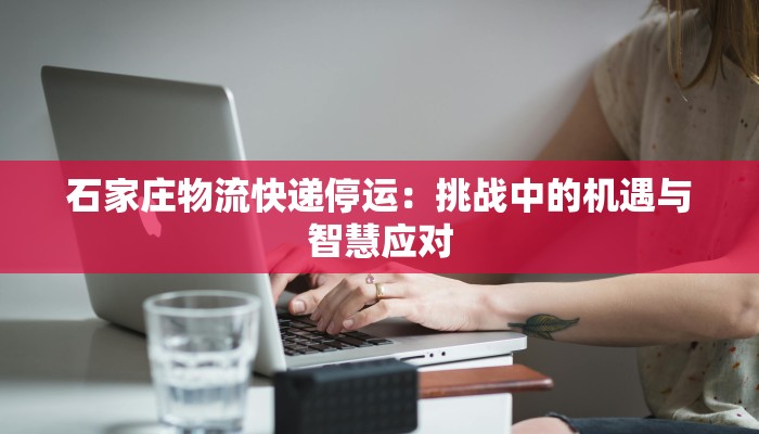 石家庄物流快递停运:挑战中的机遇与智慧应对