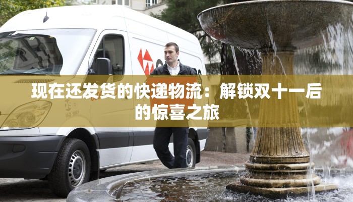 现在还发货的快递物流:解锁双十一后的惊喜之旅