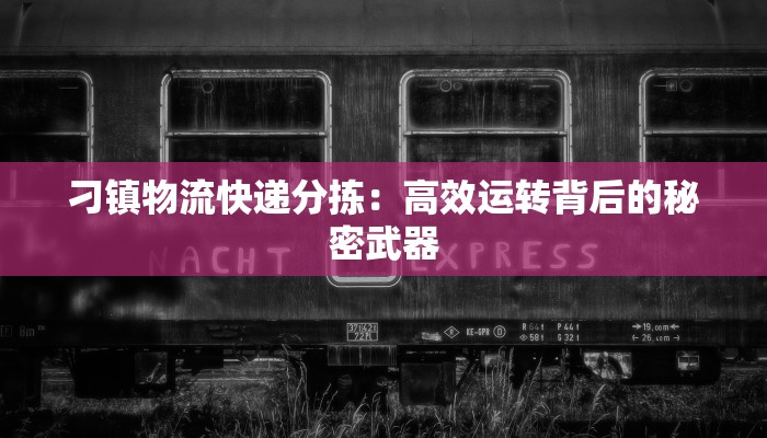 刁镇物流快递分拣：高效运转背后的秘密武器
