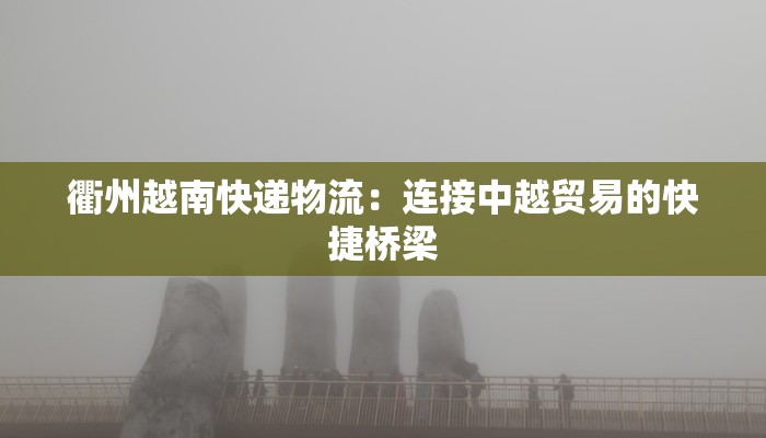 衢州越南快递物流：连接中越贸易的快捷桥梁