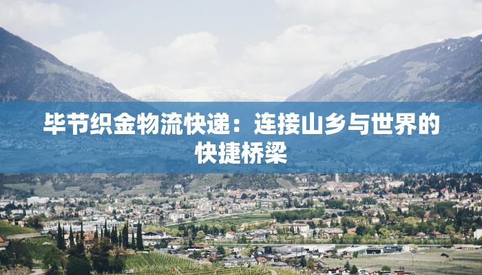 毕节织金物流快递：连接山乡与世界的快捷桥梁