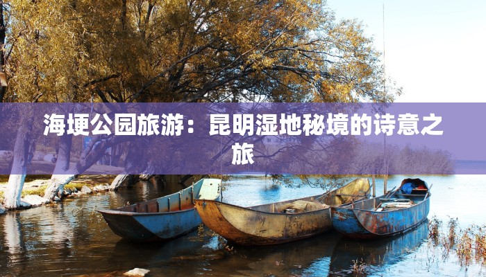 写美丽的家乡作文