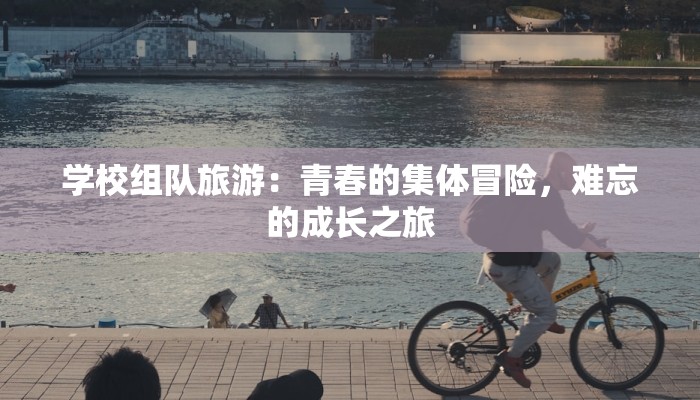 学校组队旅游:青春的集体冒险,难忘的成长之旅