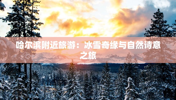 哈尔滨附近旅游:冰雪奇缘与自然诗意之旅