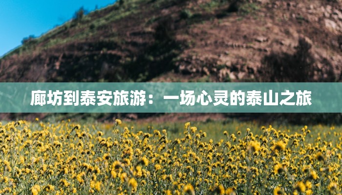 廊坊到泰安旅游:一场心灵的泰山之旅