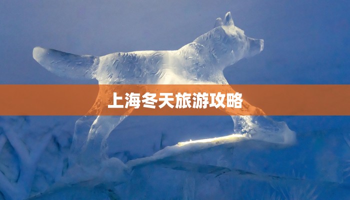 上海冬天旅游攻略