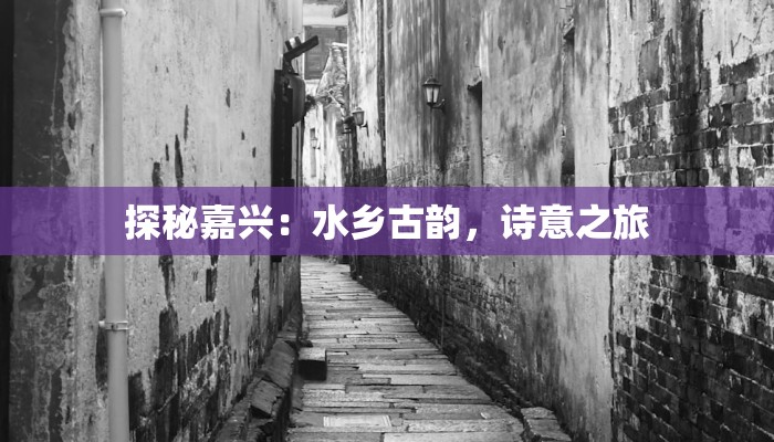 探秘嘉兴：水乡古韵，诗意之旅