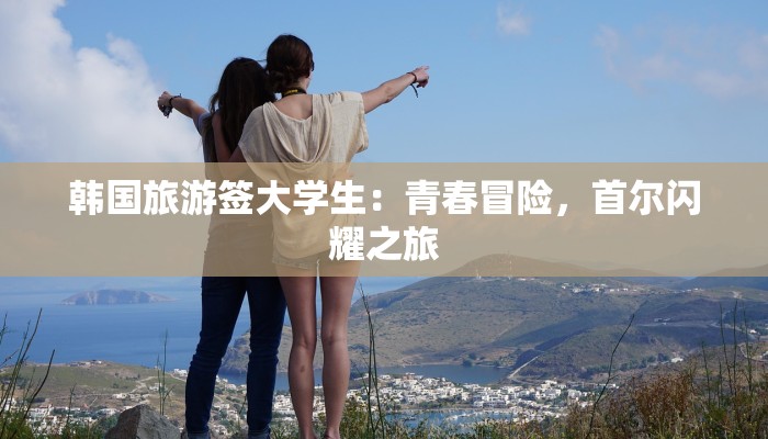 韩国旅游签大学生：青春冒险，首尔闪耀之旅