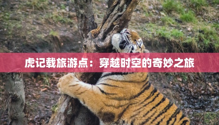 虎记载旅游点：穿越时空的奇妙之旅