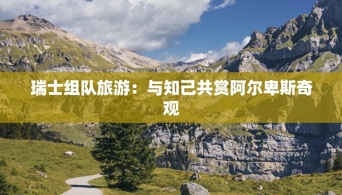 瑞士组队旅游：与知己共赏阿尔卑斯奇观