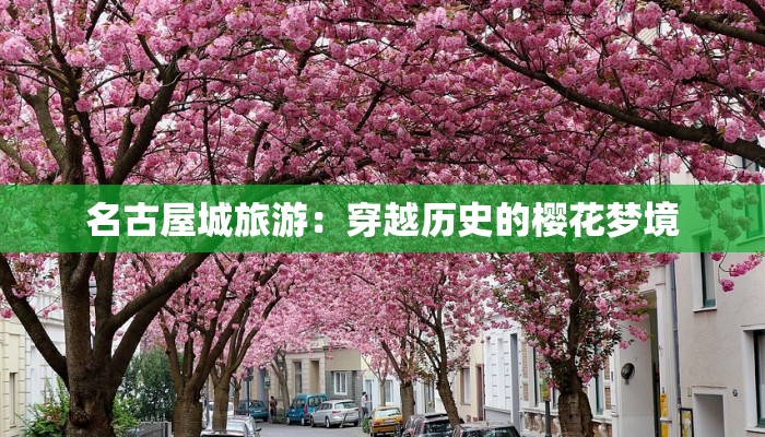 写说明文作文：解锁写作的魅力之钥