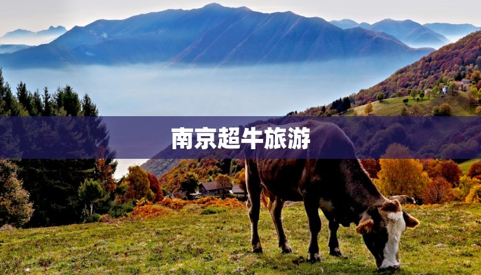 南京超牛旅游