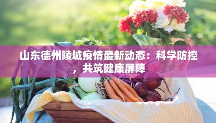 山东德州陵城疫情最新动态：科学防控，共筑健康屏障