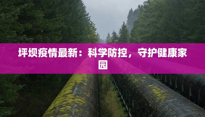 坪坝疫情最新：科学防控，守护健康家园