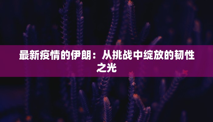 最新疫情的伊朗：从挑战中绽放的韧性之光