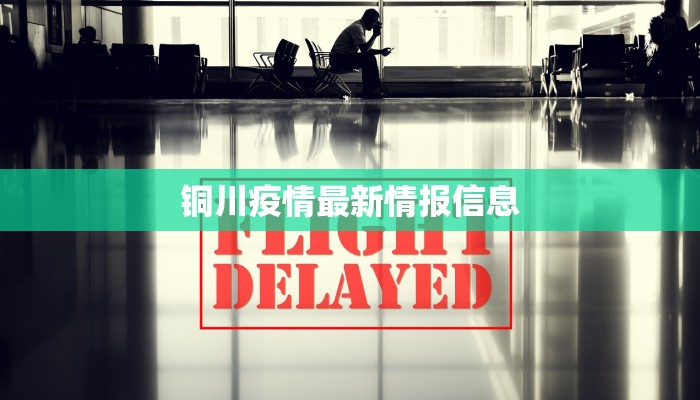 铜川疫情最新情报信息