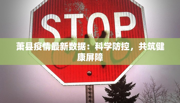 萧县疫情最新数据：科学防控，共筑健康屏障