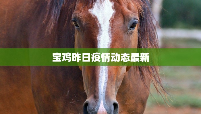 宝鸡昨日疫情动态最新