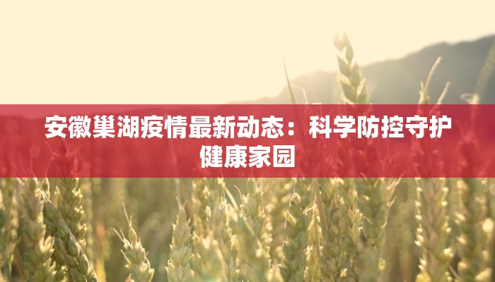 安徽巢湖疫情最新动态：科学防控守护健康家园