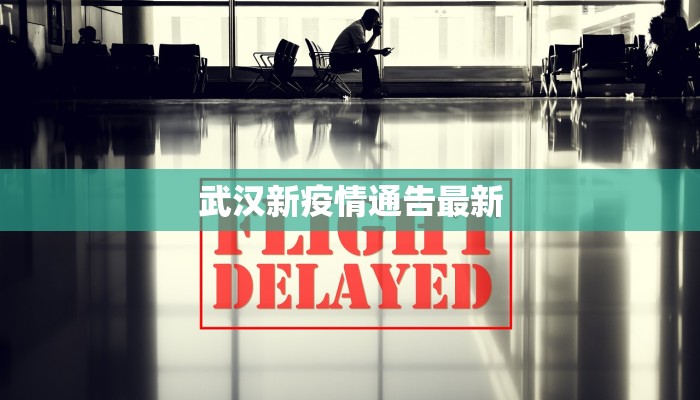 武汉新疫情通告最新