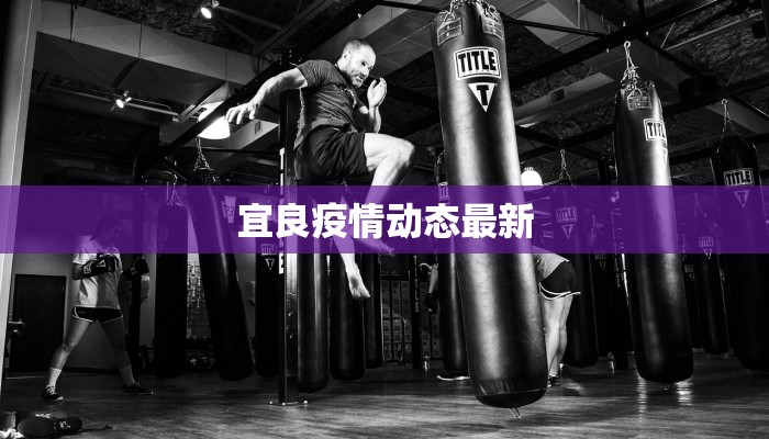 宜良疫情动态最新