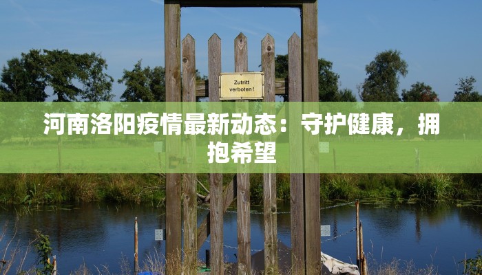 河南洛阳疫情最新动态：守护健康，拥抱希望