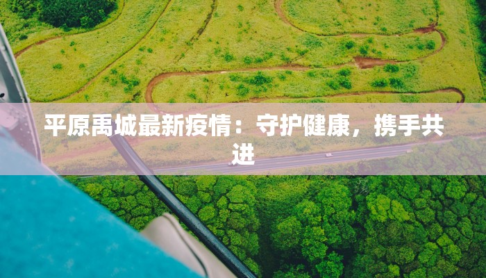平原禹城最新疫情：守护健康，携手共进