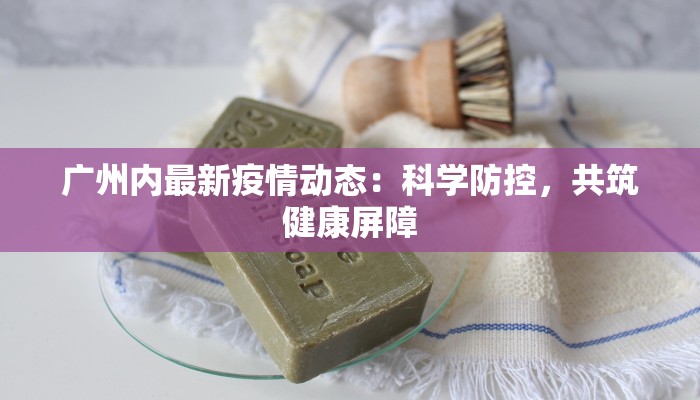 广州内最新疫情动态：科学防控，共筑健康屏障