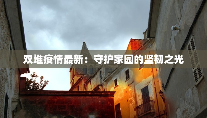 双堆疫情最新：守护家园的坚韧之光