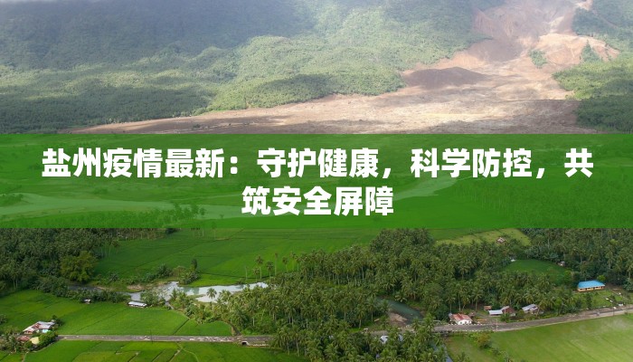 盐州疫情最新:守护健康,科学防控,共筑安全屏障