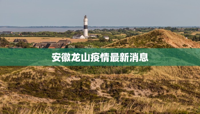 安徽龙山疫情最新消息