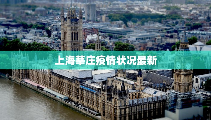上海莘庄疫情状况最新