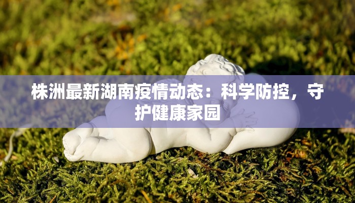 株洲最新湖南疫情动态：科学防控，守护健康家园