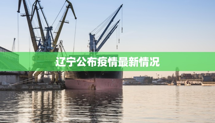 辽宁公布疫情最新情况