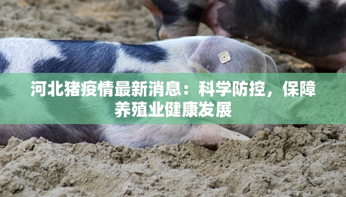 家里的味道作文