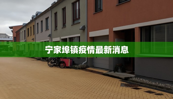 宁家埠镇疫情最新消息