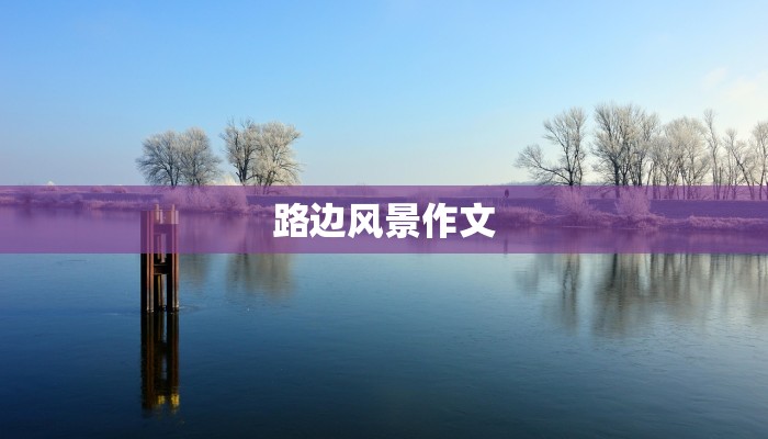 路边风景作文