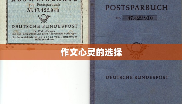 作文心灵的选择